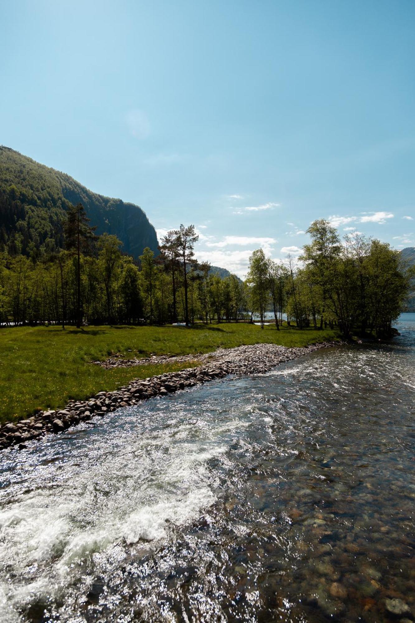 Tuftegarden Hotel Viksdalen Buitenkant foto