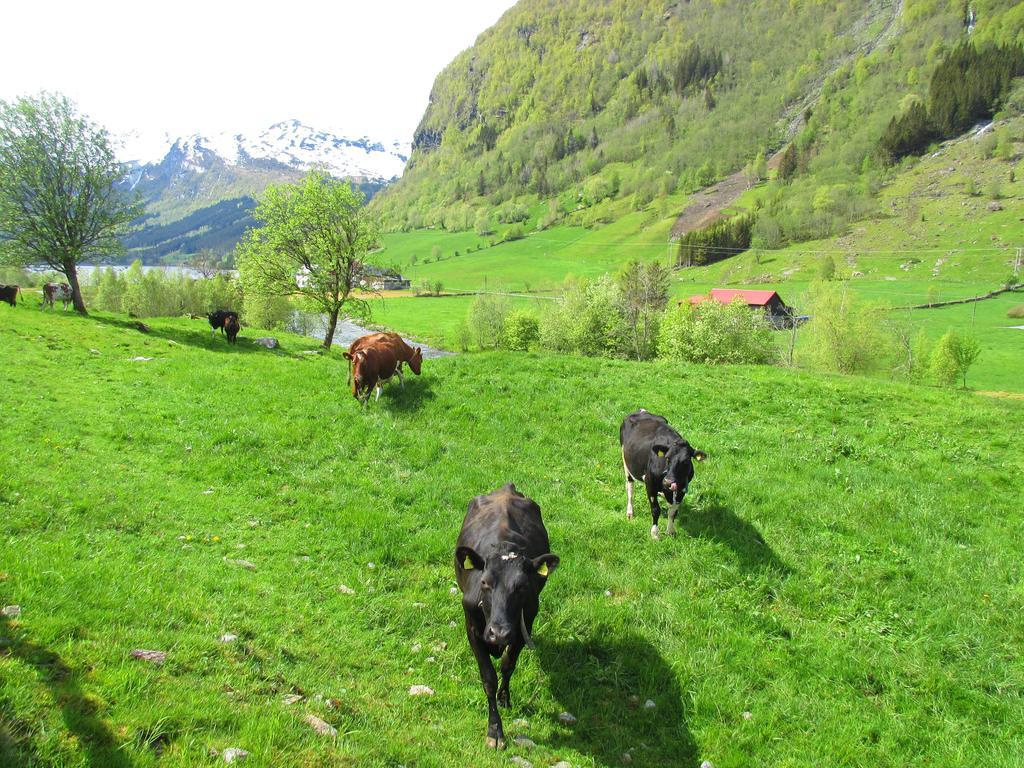 Tuftegarden Hotel Viksdalen Buitenkant foto